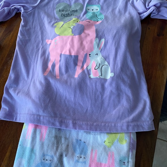 Girl’s 12 sleepset, deer, squirrel, bunny, and owl, long sleeve pants and top - Picture 5 of 5